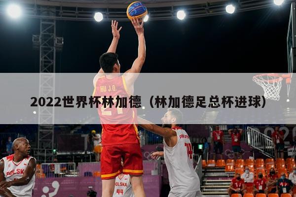 2022世界杯林加德（林加德足总杯进球）